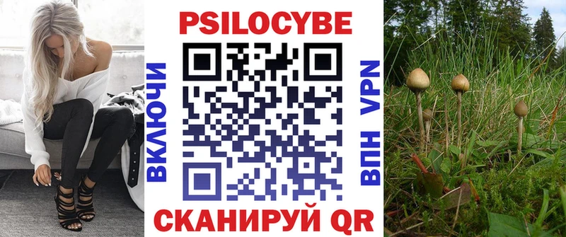 наркотики  Покров  Галлюциногенные грибы Cubensis 
